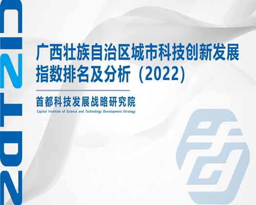 夜色艹乳鸡鸡【成果发布】广西壮族自治区城市科技创新发展指数排名及分析（2022）